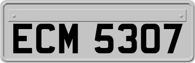 ECM5307