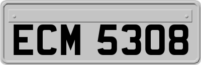 ECM5308