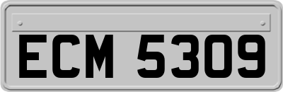 ECM5309