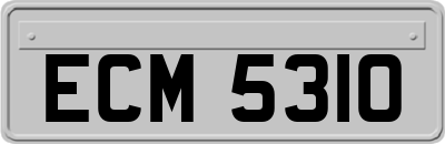 ECM5310