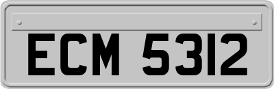 ECM5312