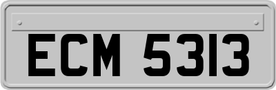 ECM5313