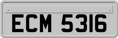 ECM5316