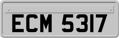 ECM5317