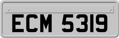 ECM5319