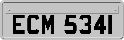 ECM5341