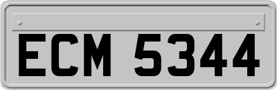 ECM5344