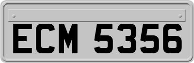 ECM5356