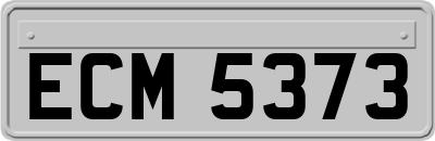 ECM5373