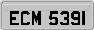 ECM5391