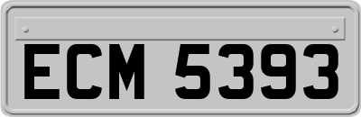 ECM5393