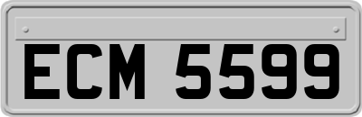ECM5599