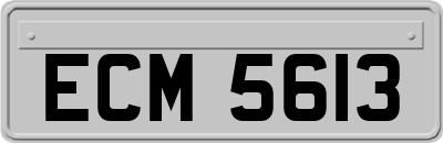 ECM5613