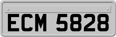 ECM5828