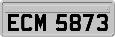 ECM5873
