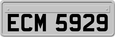 ECM5929