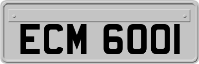ECM6001