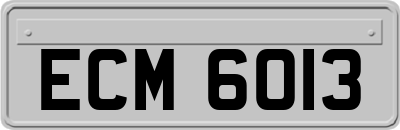 ECM6013