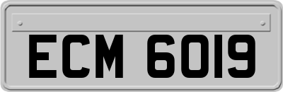 ECM6019