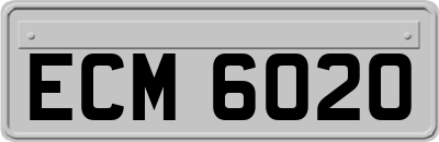 ECM6020