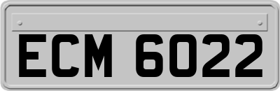 ECM6022