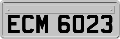 ECM6023