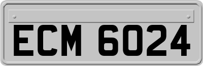 ECM6024