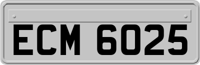 ECM6025