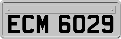ECM6029