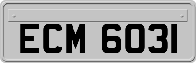 ECM6031