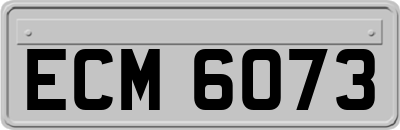 ECM6073