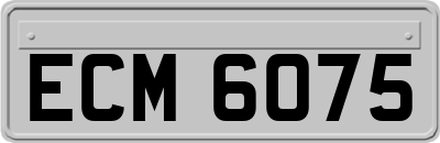ECM6075