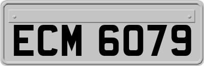 ECM6079