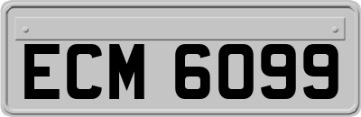 ECM6099