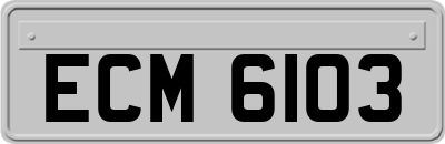 ECM6103