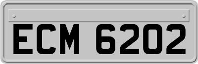 ECM6202