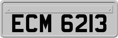 ECM6213