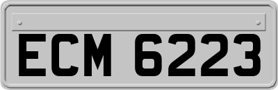 ECM6223