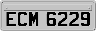 ECM6229