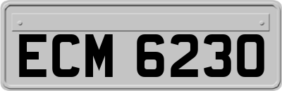 ECM6230