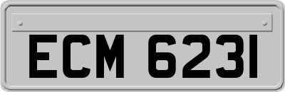 ECM6231