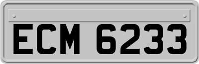 ECM6233