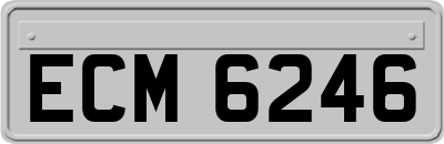 ECM6246