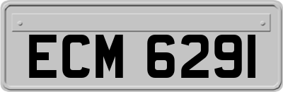 ECM6291