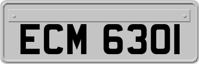 ECM6301