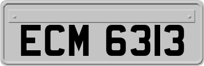 ECM6313