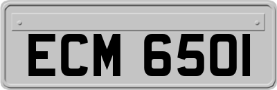 ECM6501