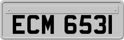 ECM6531