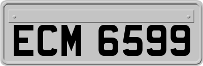ECM6599
