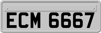 ECM6667